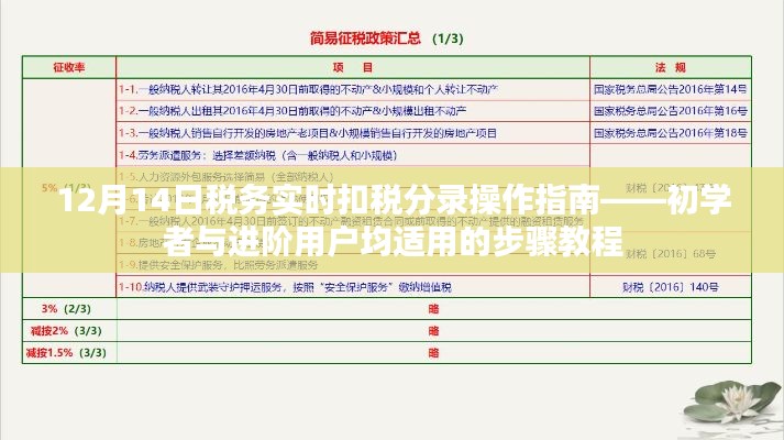 12月14日税务实时扣税分录操作指南，适合初学者与进阶用户的步骤教程