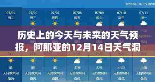阿那亚12月14日天气回顾与未来天气预报