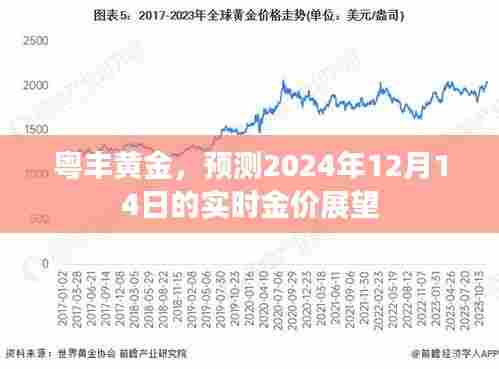 粤丰黄金，2024年12月14日实时金价展望与分析