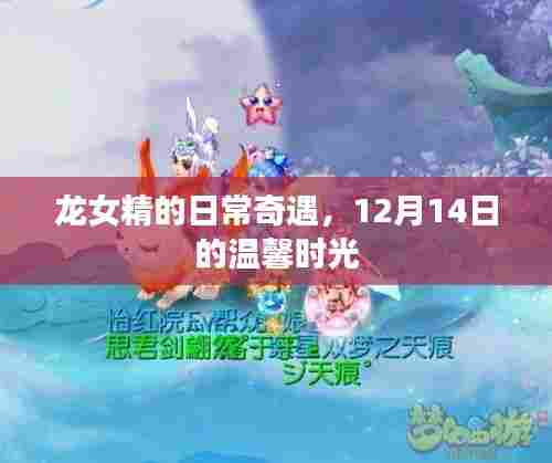 龙女精的温馨奇遇,12月14日日常中的温暖时光