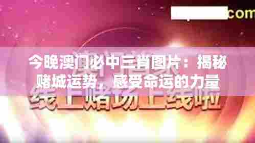 今晚澳门必中三肖图片:揭秘赌城运势,感受命运的力量