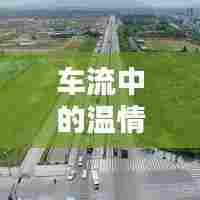 深圳行，车流中的温情纽带，一家人的奇妙旅程