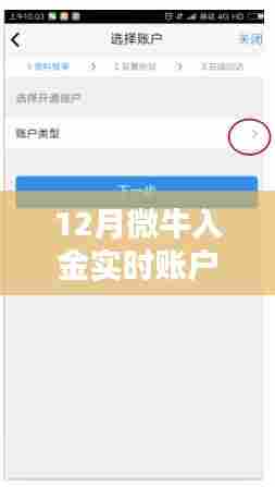 12月微牛入金实时验证，开启投资新旅程