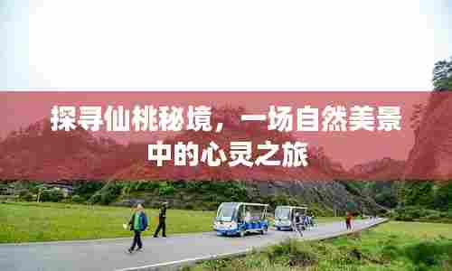 仙桃秘境探寻,自然美景的心灵之旅