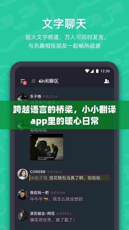 小小翻译app,跨越语言的暖心桥梁