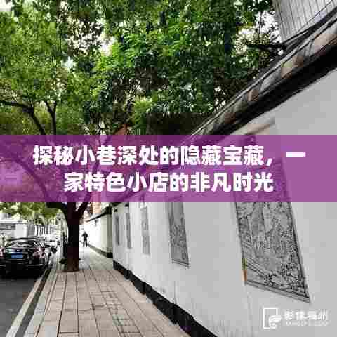 小巷深处的隐藏宝藏，特色小店的非凡时光探索
