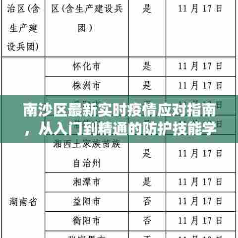 南沙区疫情应对指南，入门到精通的防护技能全解析