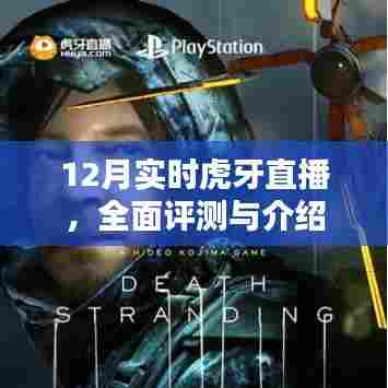 草间求活 第3页