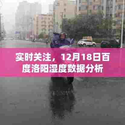 百度洛阳湿度数据分析实时关注报告，12月18日深度解读