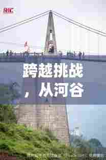 跨越挑战,从河谷大桥路况实时查询到人生的无限连接