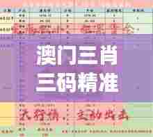 澳门三肖三码精准100%新华字典354期|收益成语分析落实