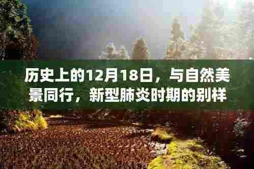 12月18日历史上的别样旅行启示，自然美景下的新型肺炎时代启示录
