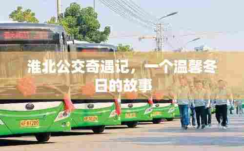 淮北公交奇遇记，冬日里的温馨故事