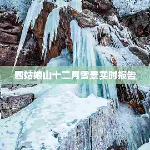 四姑娘山十二月雪景实时更新，冬季雪域美景尽收眼底