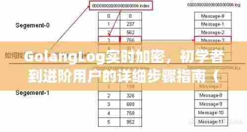 GolangLog实时加密，初学者到进阶用户详细指南（最新版 2024）