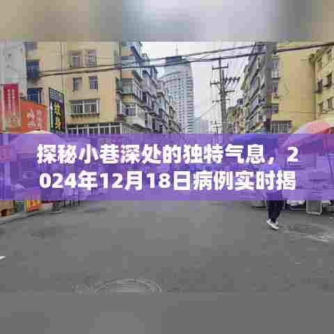 探秘小巷深处，病例揭秘与隐藏特色小店的奇遇记（2024年12月18日）