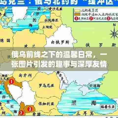 俄乌前线之下的温馨日常,图片背后的趣事与深厚友情展现