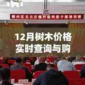 12月树木价格查询与购买决策指南