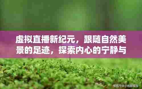 虚拟直播新纪元,跟随自然美景探索内心宁静与和谐之旅