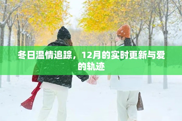 冬日温情追踪,爱的轨迹与实时更新报道