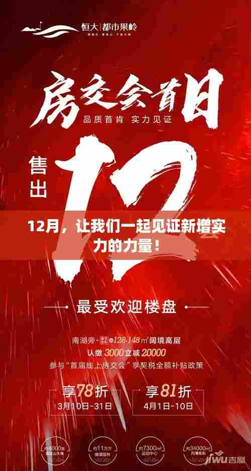 见证新增实力的力量，十二月展望！