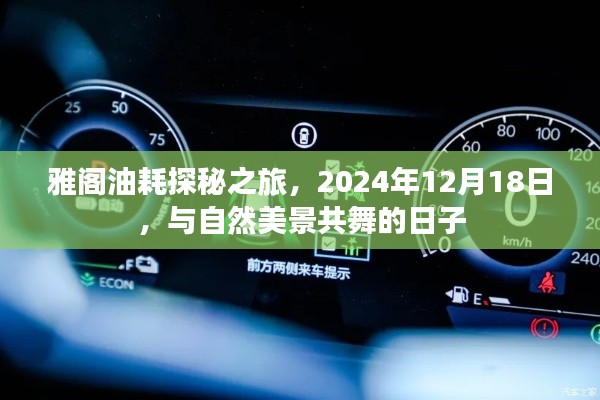 雅阁油耗探秘之旅,与自然美景共舞的日子(2024年12月18日)