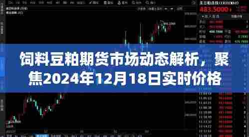 饲料豆粕期货市场动态解析,实时价格走势聚焦(2024年12月18日)