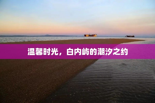 白内屿潮汐之约,温馨时光的美好邂逅