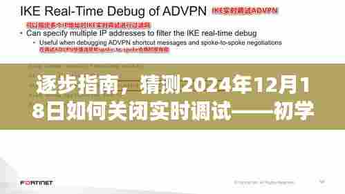 实用教程，从初学者到进阶用户，逐步学会如何关闭实时调试——针对2024年12月18日的指南