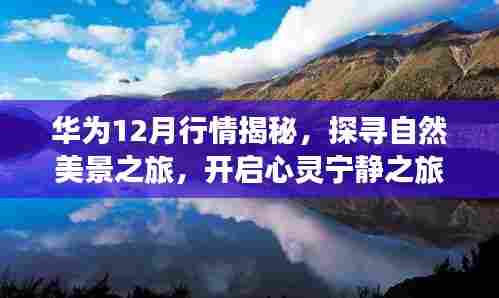 华为12月行情揭秘，启程探寻自然美景，心灵宁静之旅开启！