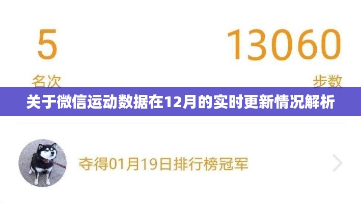 微信运动数据12月实时更新情况深度解析