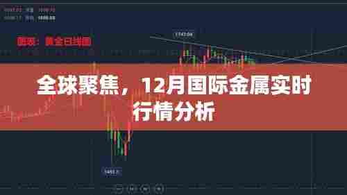 全球瞩目，12月国际金属实时行情深度解析