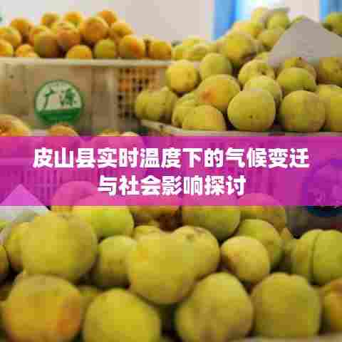 皮山县实时气候变迁与社会影响分析