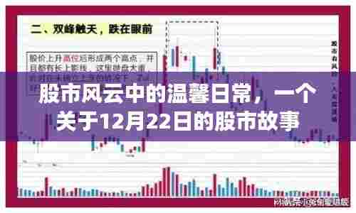 股市风云中的温馨日常,一个特别的股市故事——12月22日纪实