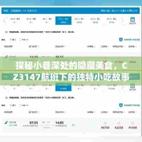 CZ3147航班下的隐藏美食，小巷深处的独特小吃故事探秘