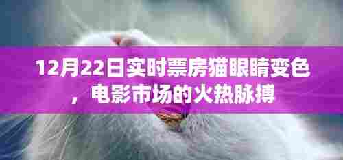 电影市场火热脉搏，12月22日实时票房带动猫眼睛变色