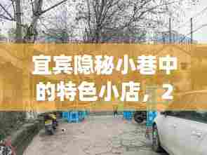 宜宾隐秘小巷特色小店与实时路况查询网，宜宾最新资讯分享