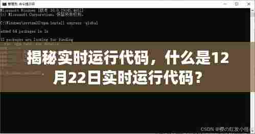 揭秘实时运行代码，什么是实时运行代码详解及解析？