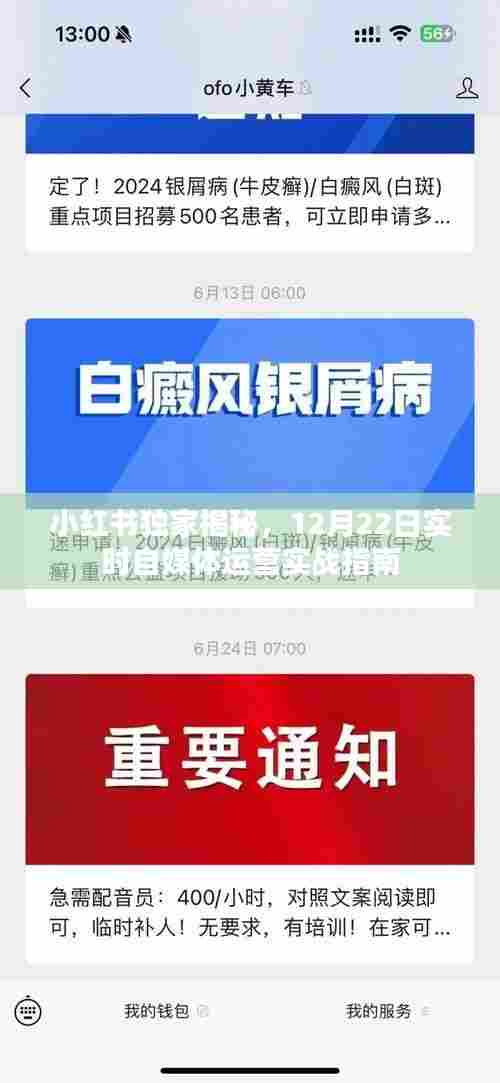 小红书独家揭秘,自媒体运营实战指南——12月22日实时更新攻略