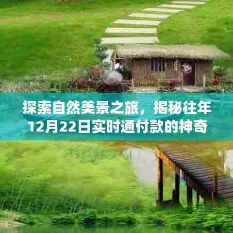 揭秘神奇功能，实时通付款与心灵之旅，共探自然美景探索之旅