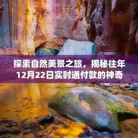 揭秘神奇功能,实时通付款与心灵之旅,共探自然美景探索之旅