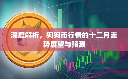 狗狗币十二月行情走势深度解析与预测