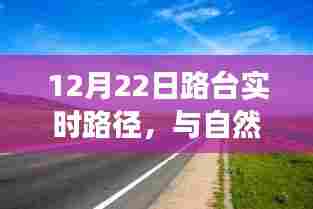 与自然美景的奇妙邂逅,寻找内心的平和之旅——路台实时路径探索纪实