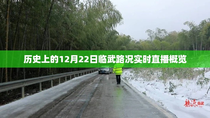 历史上的临武路况实时直播概览,聚焦十二月二十二日路况直播纪实