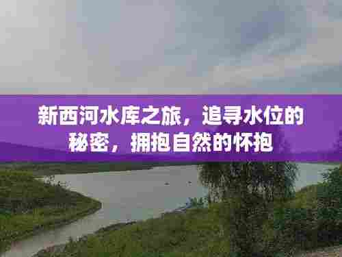 鸟啼花怨 第3页