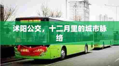 沭阳公交,十二月城市脉络的见证者