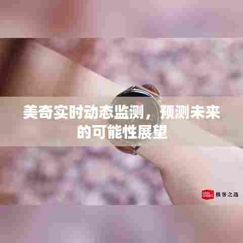 美奇实时动态监测，展望未来的预测与可能性探索