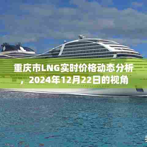 重庆市LNG实时价格动态分析，聚焦2024年市场趋势观察