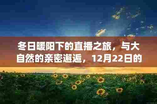冬日暖阳下的直播之旅,与大自然的温馨邂逅在野外共度冬至时光