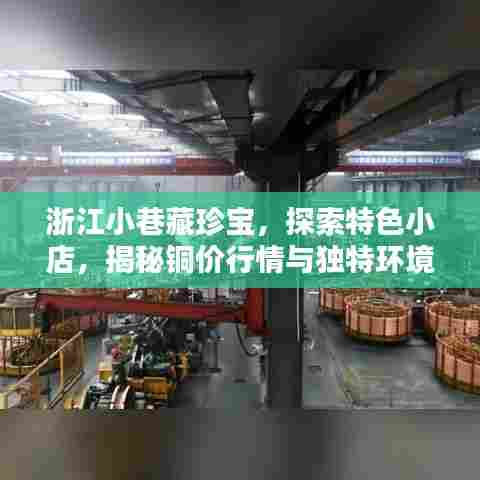 浙江小巷特色小店探秘，铜价行情与独特环境魅力揭秘
